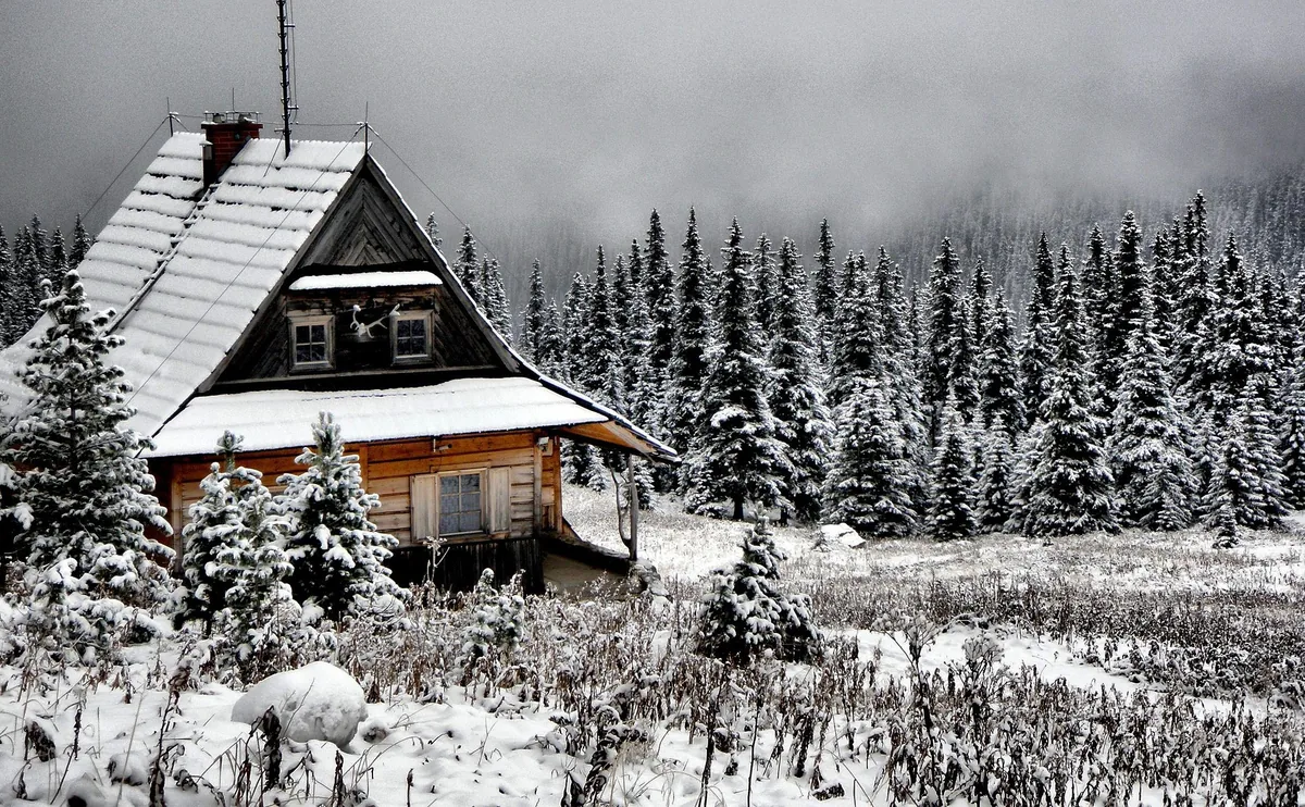 Snow covered wood cabin among snowy evergreens in the New Hampshire mountains